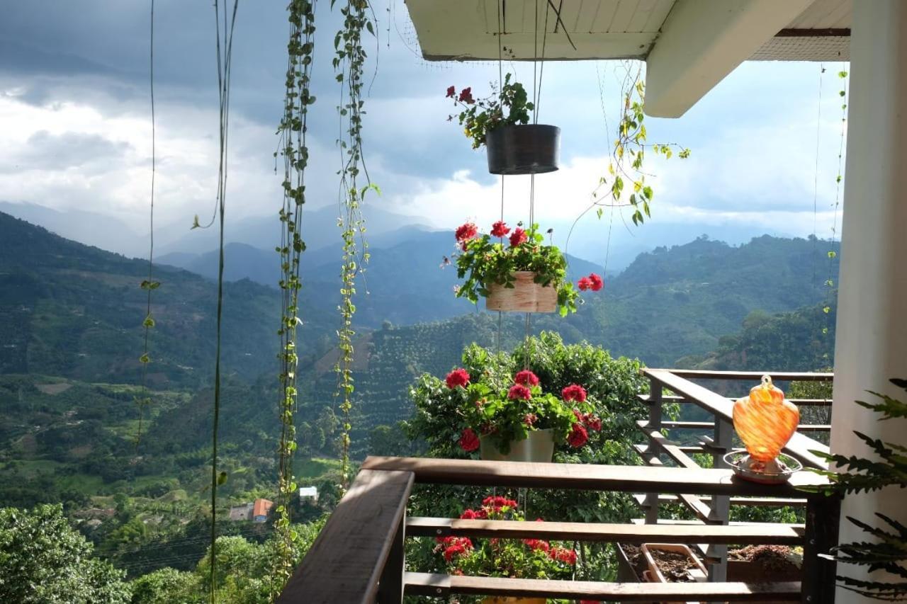 Casa Nativo Villa Jardín Eksteriør billede
