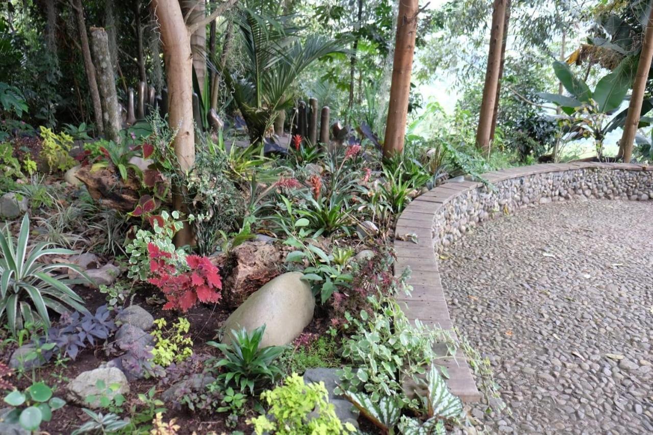 Casa Nativo Villa Jardín Eksteriør billede