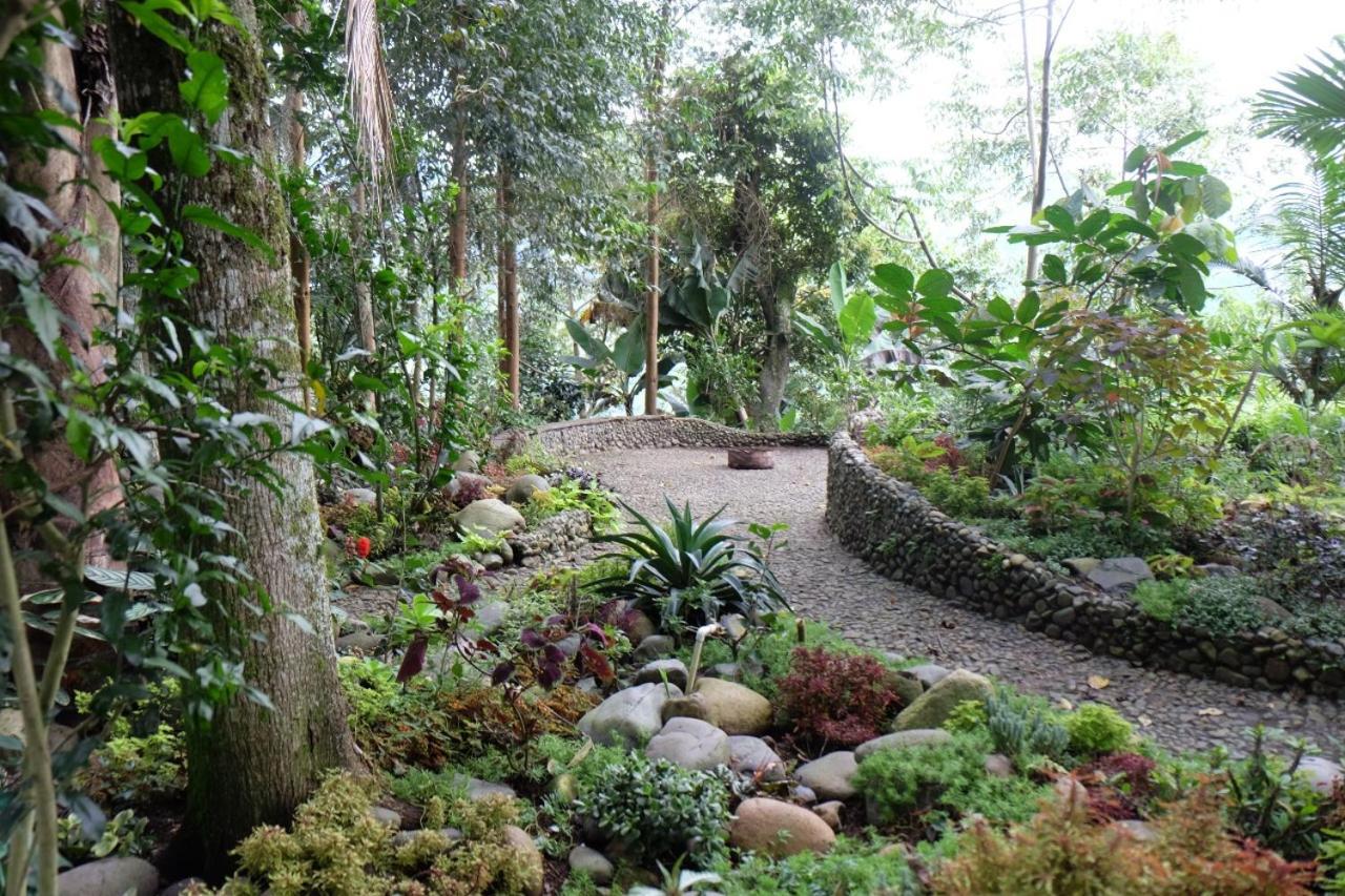 Casa Nativo Villa Jardín Eksteriør billede