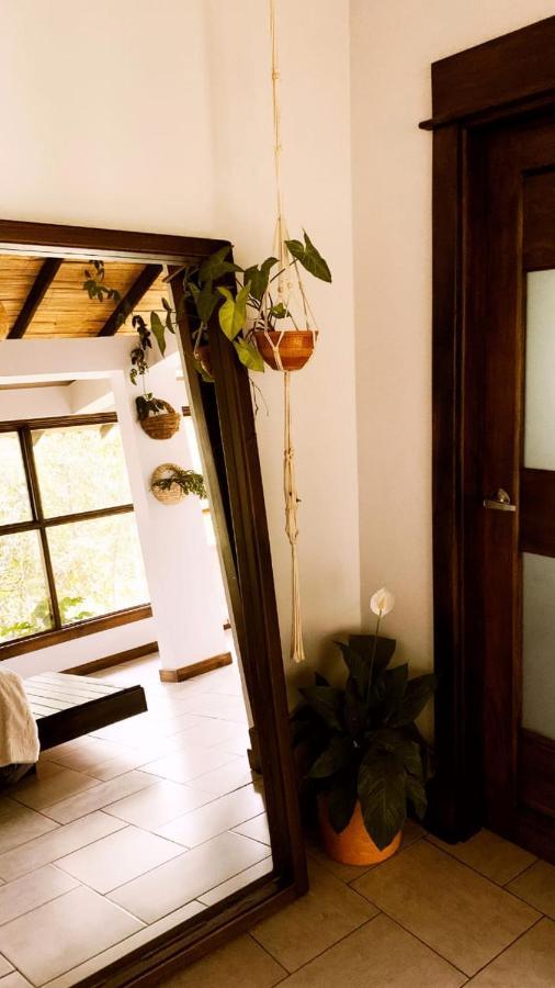 Casa Nativo Villa Jardín Eksteriør billede
