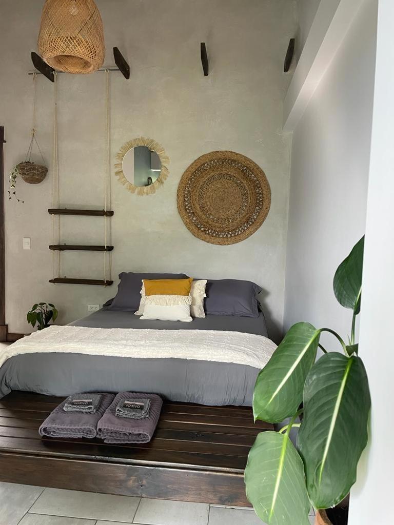 Casa Nativo Villa Jardín Eksteriør billede